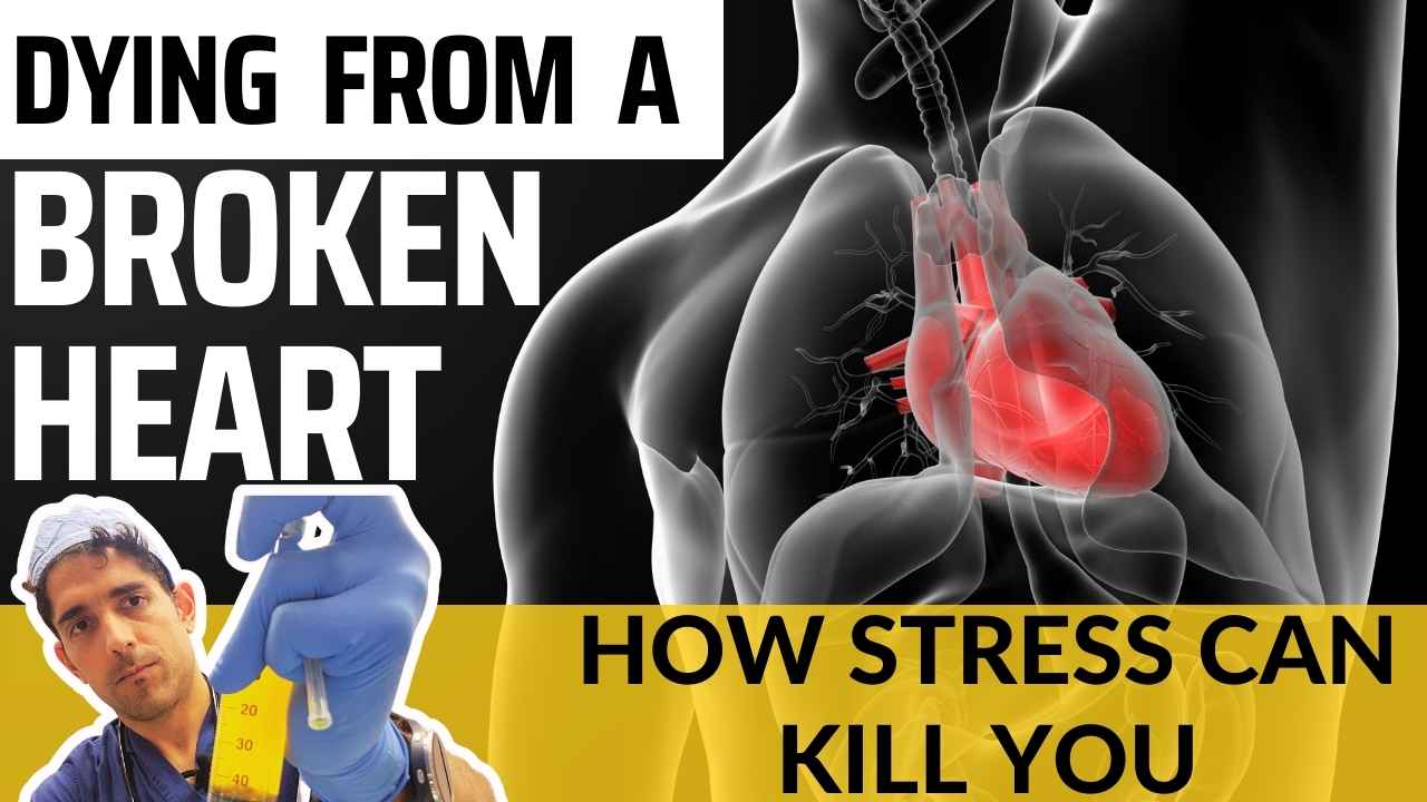 Dying From a Broken Heart 3 Ways Mental Stress & Anxiety Cause Death